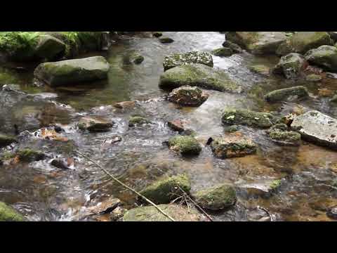 The sound of water sounds of nature