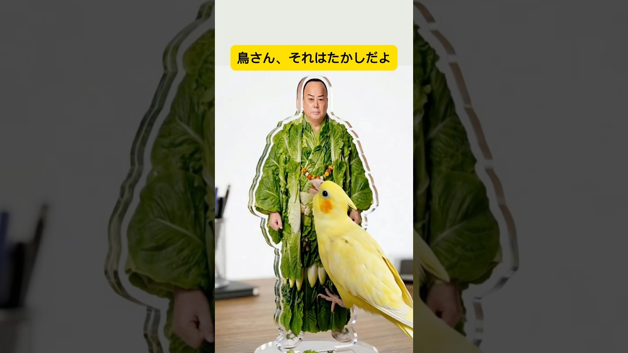 【公式】細川たかしをサラダ菜にしてみた結果🥬🥬【鳥さんありがとう】