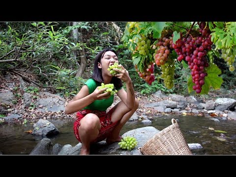 , title : 'Primitive Technology / Finding Fruit wild Nature for food/ Fruit wild nature eating delicious'