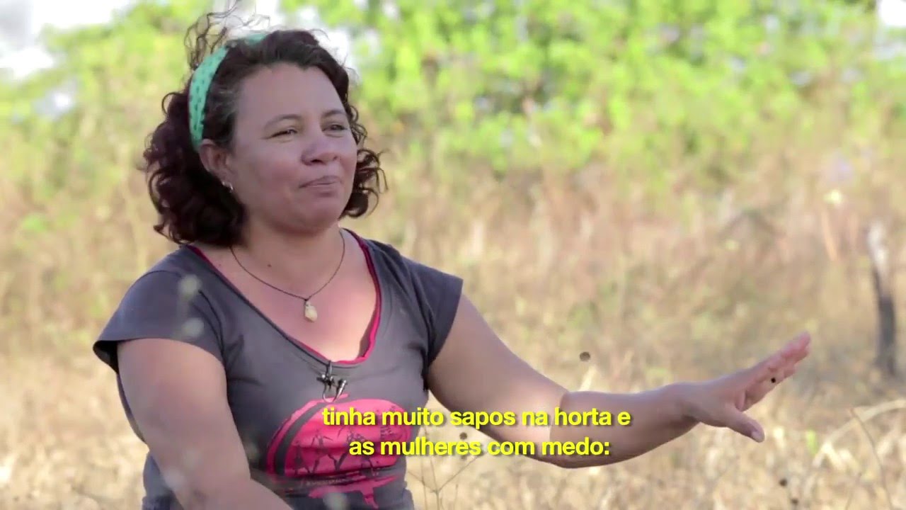 AS SEMENTES   legendas em português