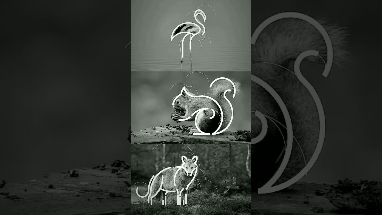 Minimalist Animal logo design tutorial in illustrator