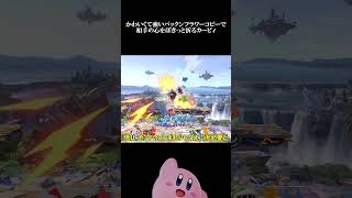 【スマブラSP】かわいくて強いパックンフラワーコピーで相手の心をぽきっと折るカービィ【ゆっくり実況】