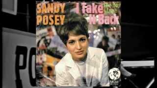 Sandy Posey - I Take It Back  - 1967  (Vinyl Rip)
