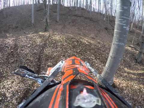 Vadkakaduk- az elnök és Muki probálkozása