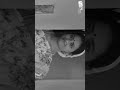 Karukku Choopu Kurrada Song WhatsApp Status Rayudu Movie D Imman Vandana Srinivasan