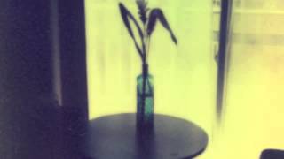 O Morro Nao Tem Vez - Bossa Nova