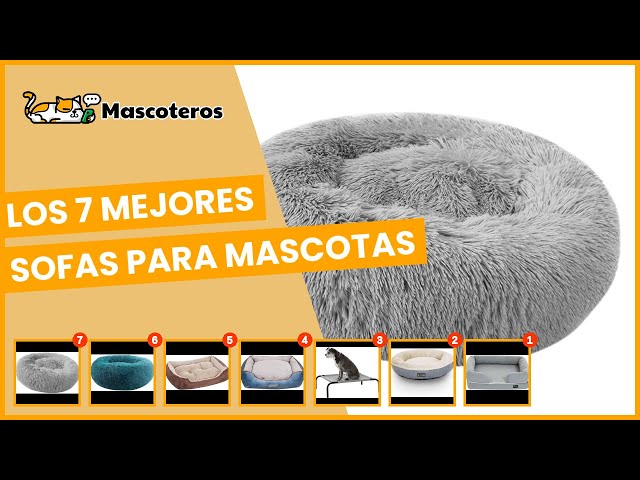 Vídeo relacionado con Feandrea Sofá para Perro, Cama para Mascota, Redonda, 55 cm, GIRS PGW55G