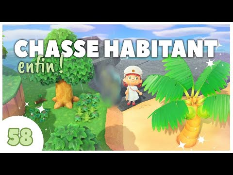 ✨ CHASSE HABITANT : Une nouvelle tête à Lubie ! #58 | Animal Crossing New Horizons