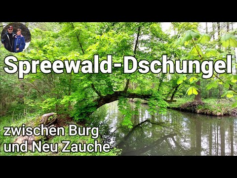 Im Spreewald-Dschungel zwischen Burg und Neu Zauche - Wanderung vom 27. April