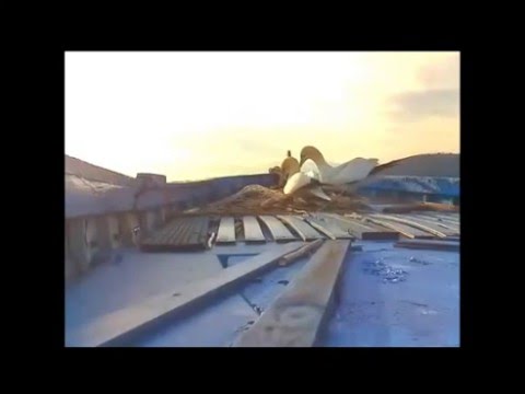 Sule di Portovenere. Goodmorning sunshine! 10/03/2016 ore 08:02