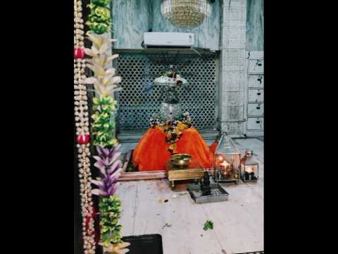 🌷🌺🚩avdhut maharaj status video editing 🌺👍🏻 जय अवधुत #अवधुत #shorts 👏🏻🙇🏻‍♂️💯🌺 #vlog