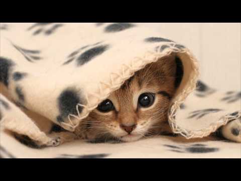 Super8 & Tab ft. Julie Thompson - My Enemy (Rank 1 Remix)