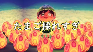 イースターエッグのドロップ率が修正された【あつまれどうぶつの森】