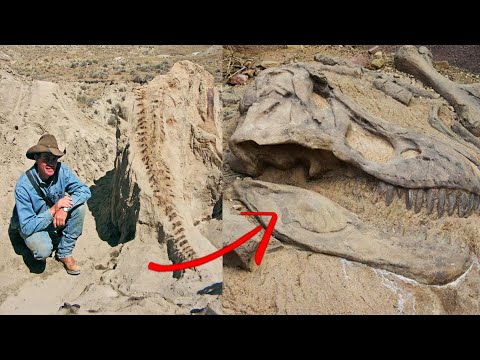 , title : '110 Million Years Old Dinosaur Mummy Found'