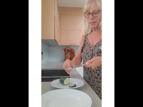 Crystal the Pet Nanny. LLC video.