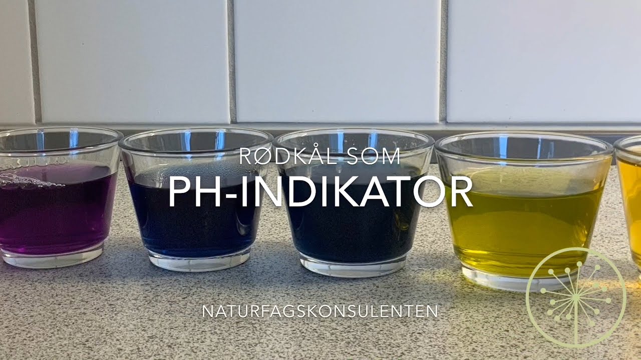 Rødkål som pH-indikator