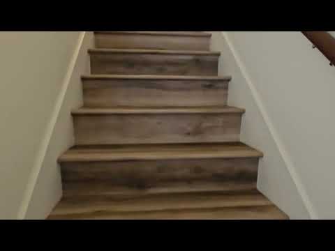 NORMAL Street 4002 - Video 2 of 2