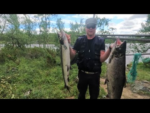 Lohireissu Näätämöjoelle