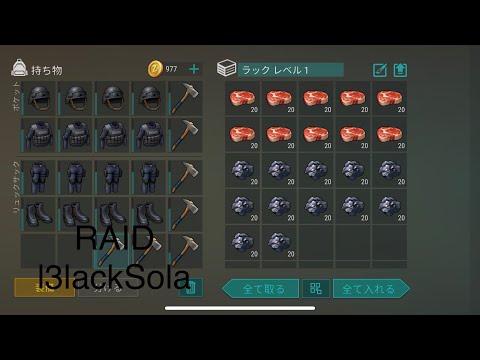 LDOE RAID l3lackSola