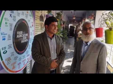 ৭০ বছরের তরুণ কৃষি উদ্যোক্তাঃ ভিডিও আনকাট (no edit)