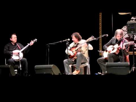 Gator Strut  (Sarzana 20/05/2011)