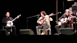 Gator Strut  (Sarzana 20/05/2011)