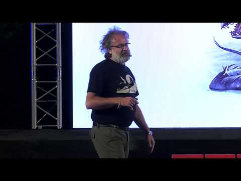 La scuola non serve a niente | Matteo Saudino | TEDxCastelfrancoVeneto
