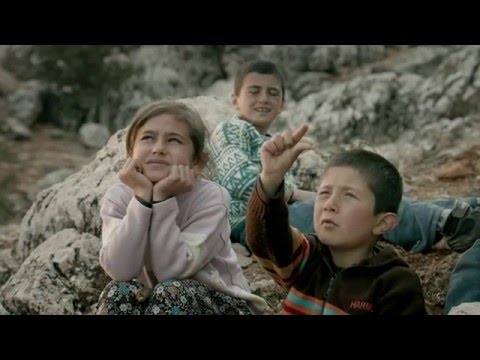 Turkish Airlines İmagine By