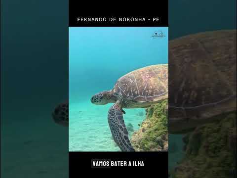 O paraíso te espera em 2026