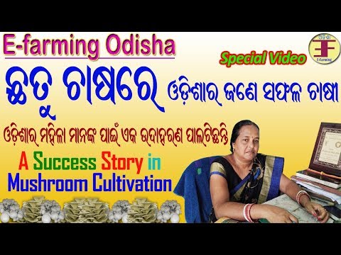download lagu mp3 mp4 Ruchi Mushroom, download lagu Ruchi Mushroom gratis, unduh video klip Ruchi Mushroom