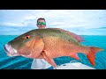The SECRET To Catching GIANT Snapper Catch Clean Cook Mutton Snapper