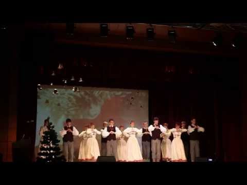 JDK "Austriņš" - Es Noaudu Zvaigžņu Segu