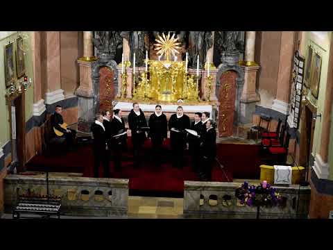 ŽVS BISERI - Zdravo Divica