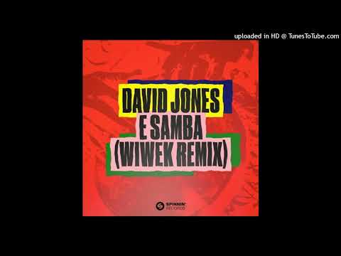 David Jones & Wiwek vs. Masters At Work - E Samba vs. Work (Hardwell Mashup)