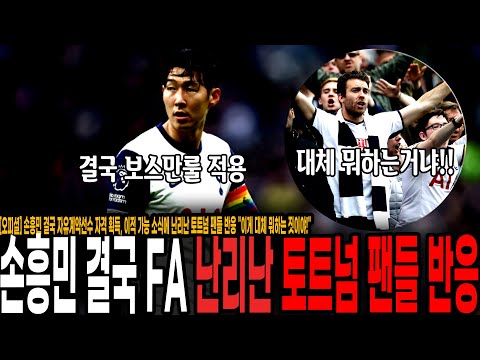 손흥민 결국 자유계약 선수 자격 획득.. 토트넘 떠날 확률 극도로 높아졌다! 난리난 토트넘 팬들 반응 이게 대체 뭐하는 짓이야!