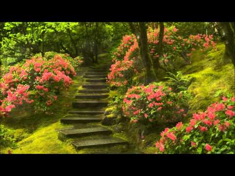 Alexandrina Miltcheva  Georges Bizet - Carmen - Habanera