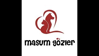Ücretsiz Sahiplendirme ilanlarında dikkat edilmesi gerekenlerden biri 