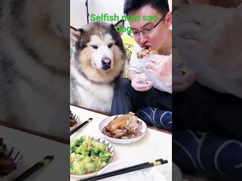 Selfish man and sad dog#shortvideo #viral