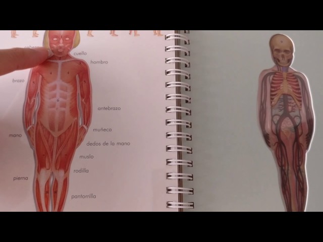Vídeo relacionado con El cuerpo (Mundo maravilloso)
