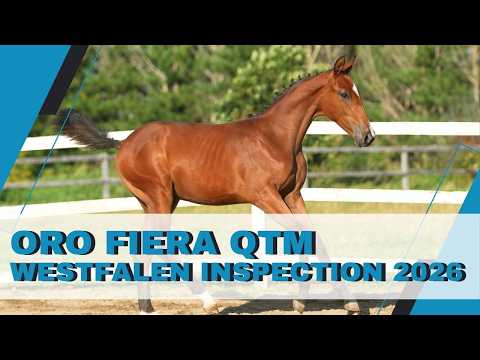 Oro Fiera QTM video 1