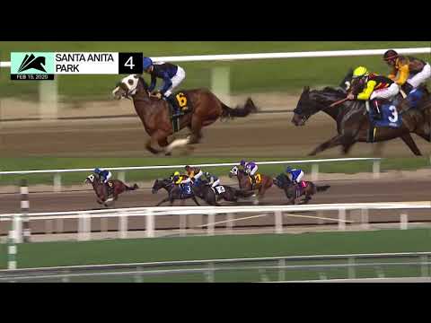 Sky Jumper wins Race 4 on Saturday, February 15, 2020 at Santa Anita Park.