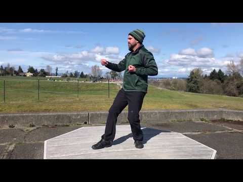 Biu Jee (Wing Chun's third form)