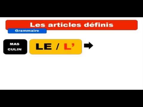 learn French grammar