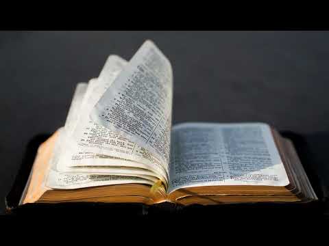 Der Garten Eden (1.Mose 2,4-25)  #Bibel