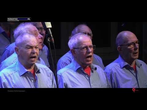 Koopavondconcert met shantykoor De Scheepsjoagers