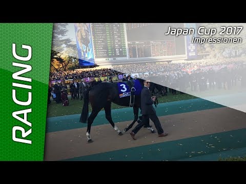 Japan-Cup 2017 - Impressionen