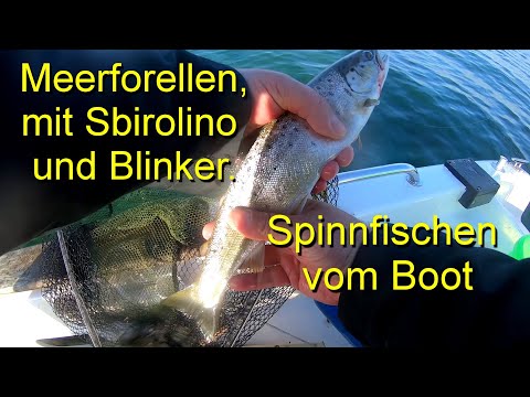 Sea trout with sbirolino and spoon. Spin fishing from a boat.