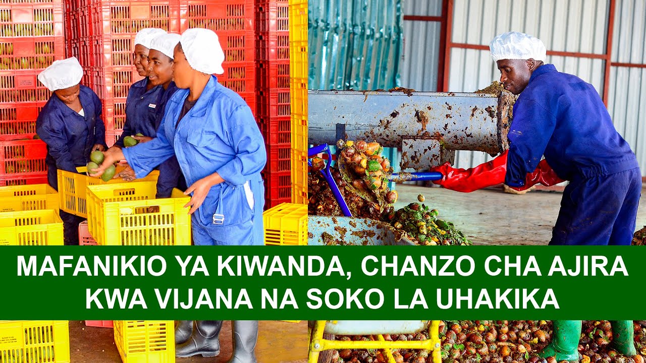 MAFANIKIO YA KIWANDA, CHANZO CHA AJIRA KWA VIJANA NA SOKO LA UHAKIKA