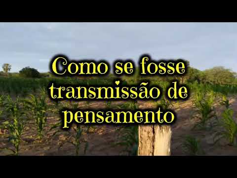 Me Dá Meu Coração - Santanna O Cantador