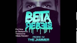 Pedro M - The Jammer (Original Mix)